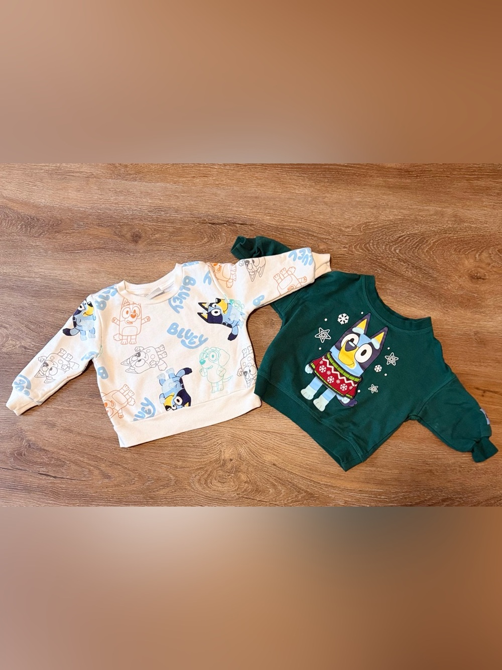 Bluey Graphic Sweatshirt Set for Kids - White & Forest Green